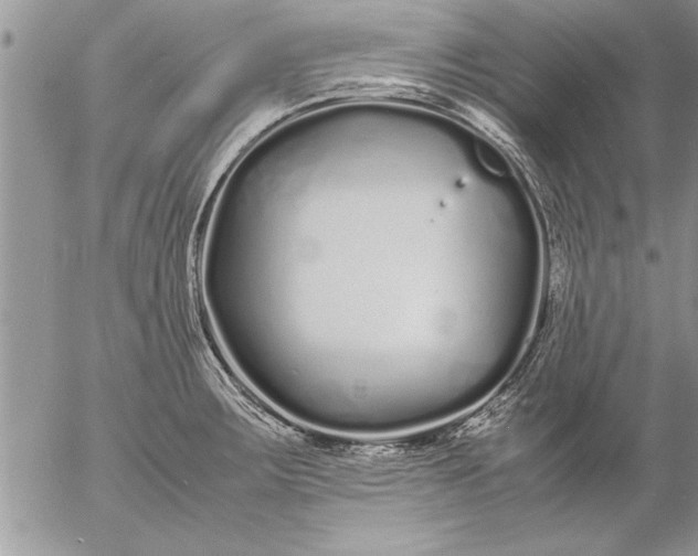 X0000057061283200509231522