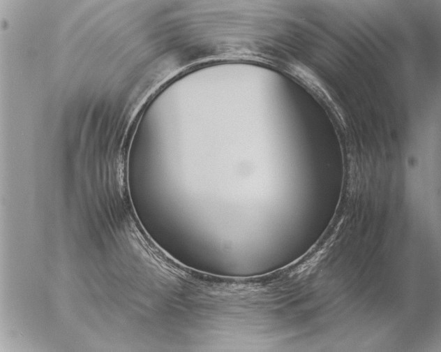 X0000057061284200509231522