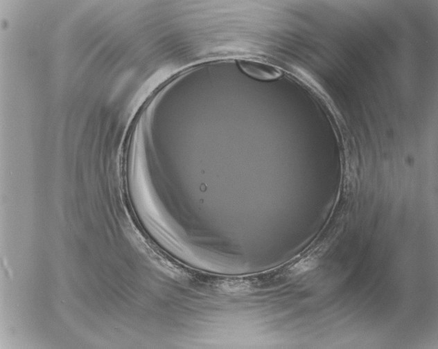 X0000057061291200509231522