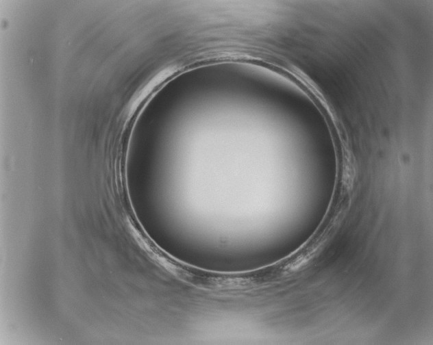 X0000057061293200509231522