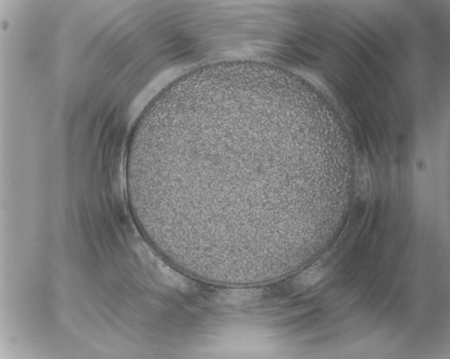 X0000057061294200509231522