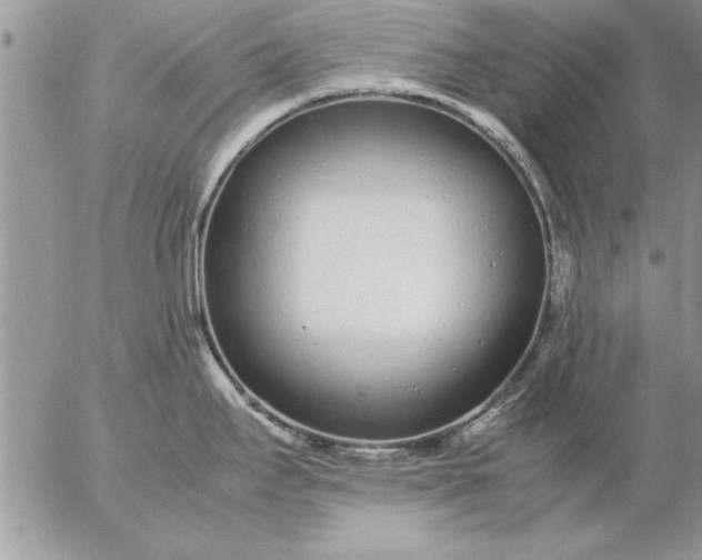 X0000057061295200509231522