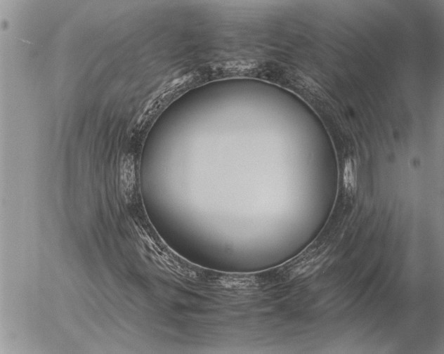 X0000057061299200509231521