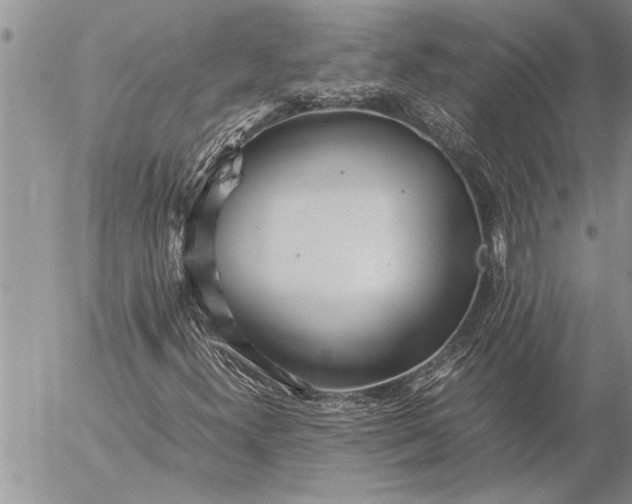 X0000057061300200509231521