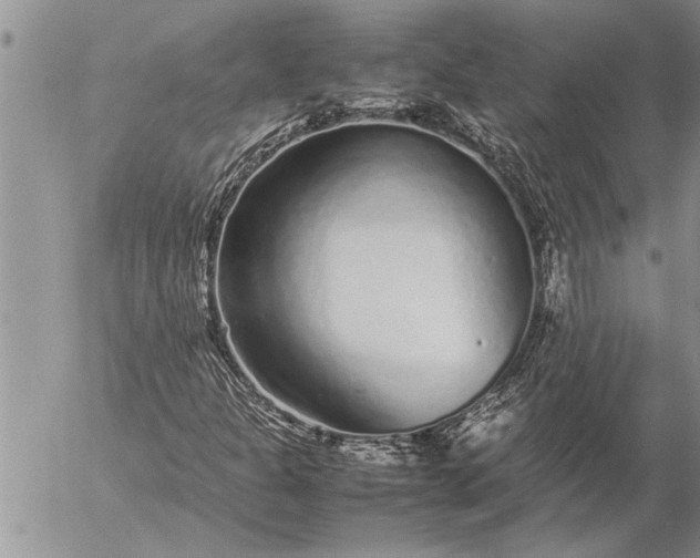 X0000057061301200509231521