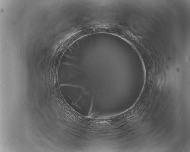 X0000057061303200509231521