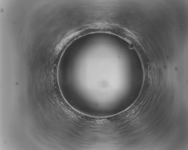 X0000057061304200509231521