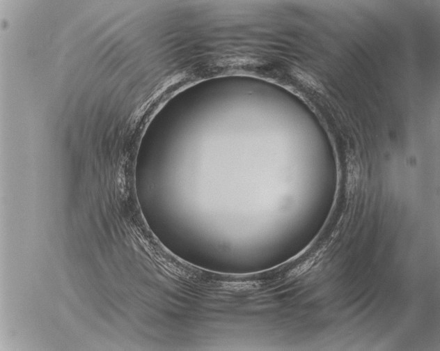 X0000057061305200509231521