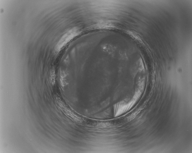 X0000057061306200509231521