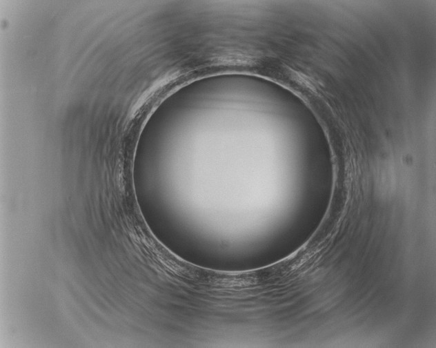 X0000057061307200509231522