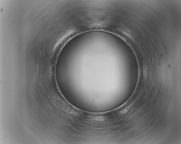 X0000057061309200509231522