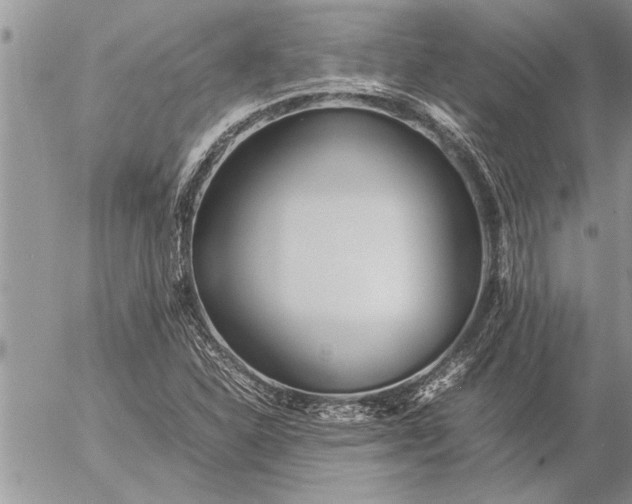 X0000057061310200509231522