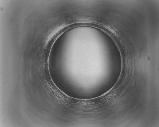 X0000057061311200509231522