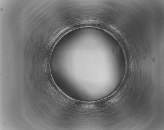 X0000057061313200509231522