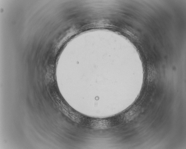 X0000057061314200509231522