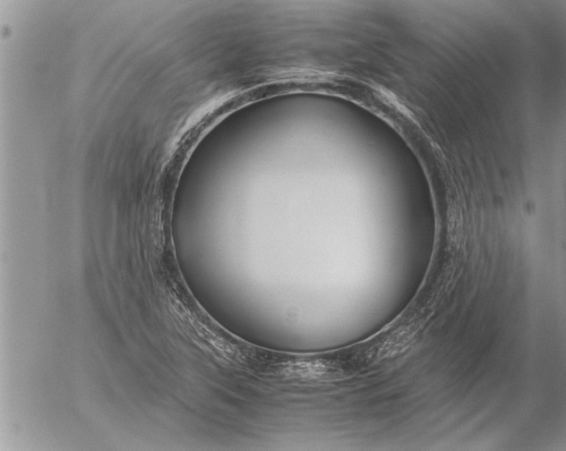 X0000057061315200509231522