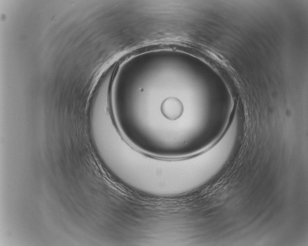 X0000057061316200509231522