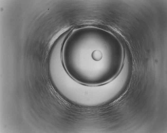 X0000057061317200509231522