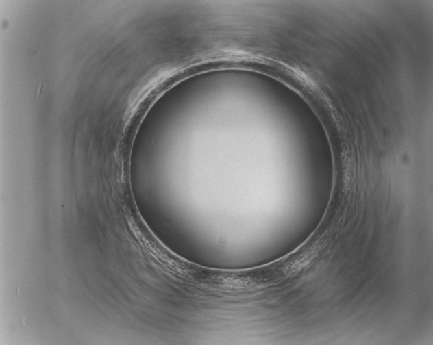 X0000057061318200509231522