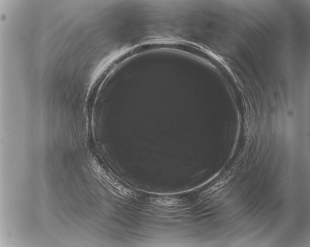 X0000057061319200509231522