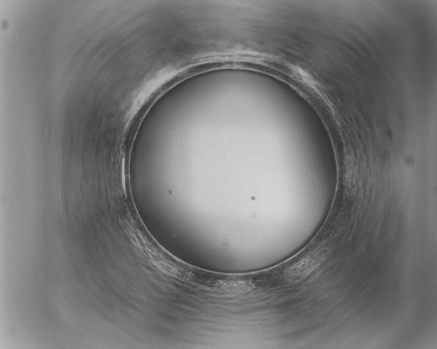 X0000057061320200509231522