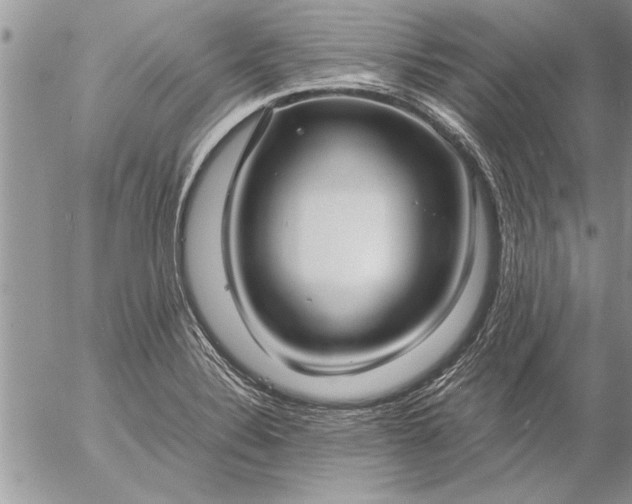 X0000057061324200509231522