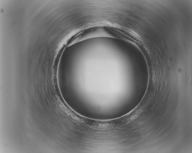 X0000057061326200509231522