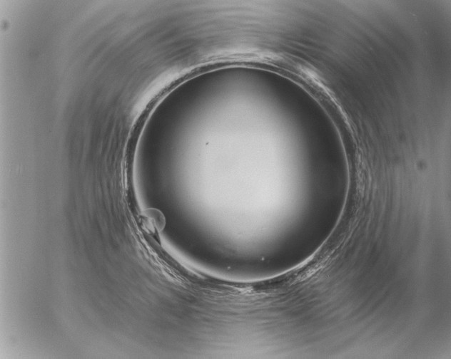 X0000057061328200509231522