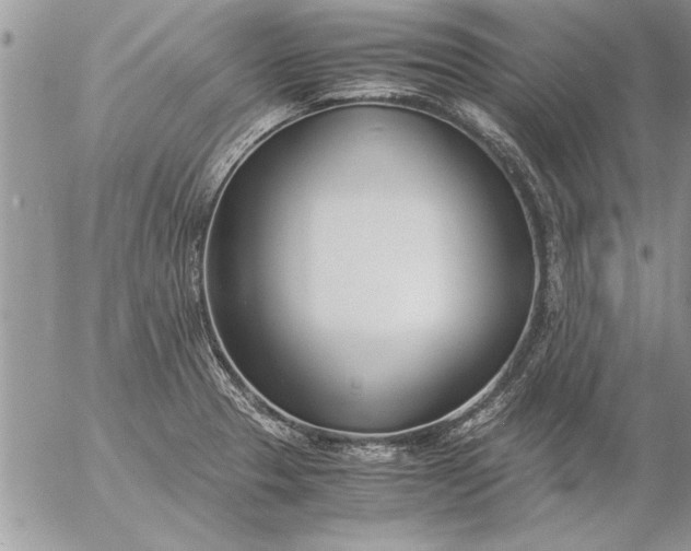 X0000057061329200509231522