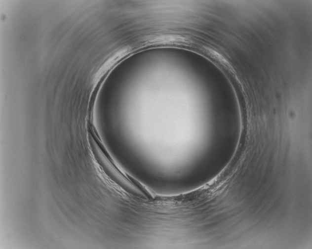 X0000057061330200509231522