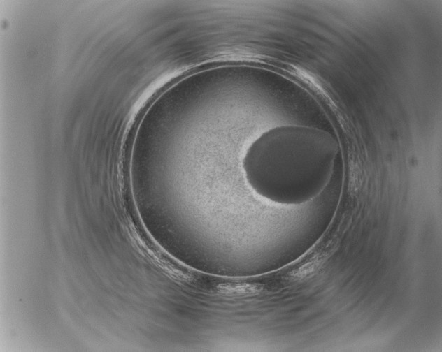 X0000057061331200509231522