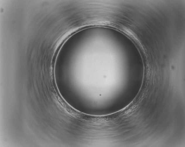 X0000057061332200509231522