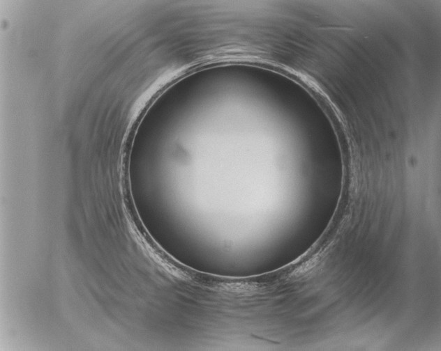 X0000057061333200509231522