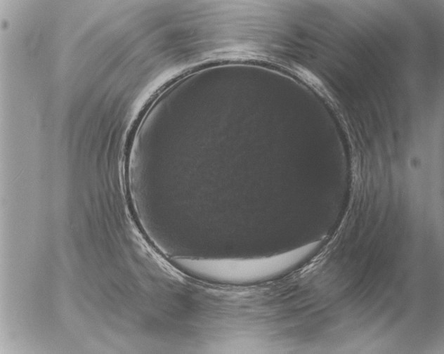 X0000057061334200509231522