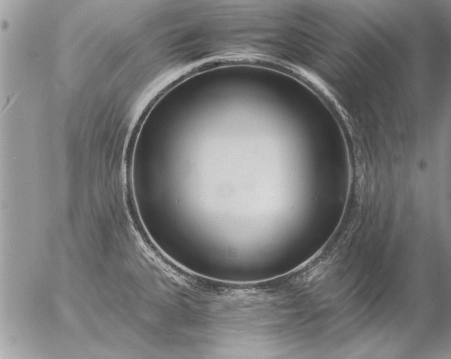 X0000057061335200509231522