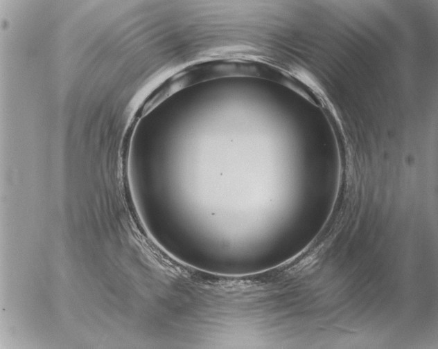 X0000057061336200509231522