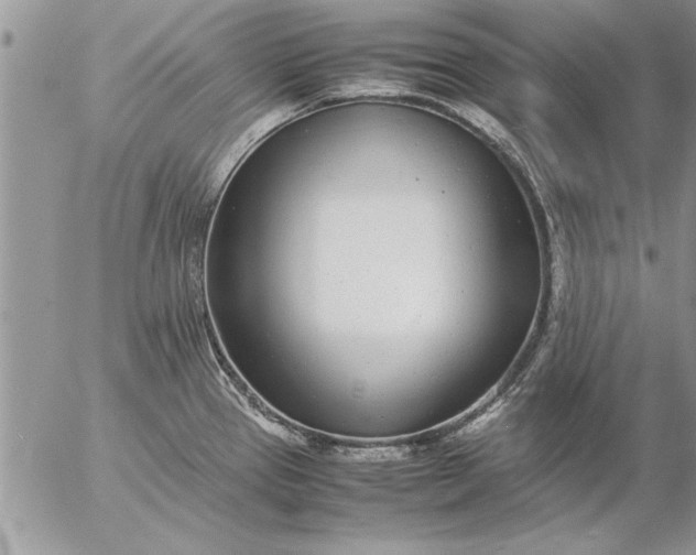 X0000057061337200509231522