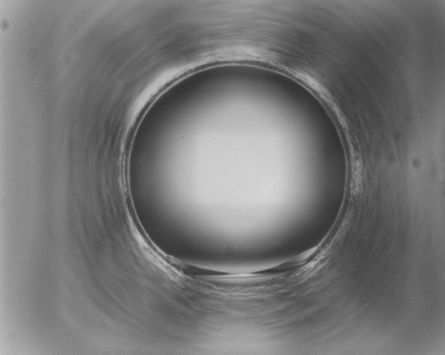 X0000057061342200509231522