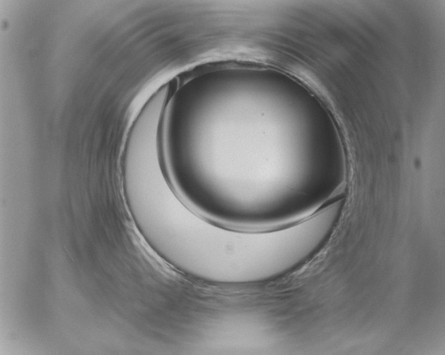 X0000057061344200509231522