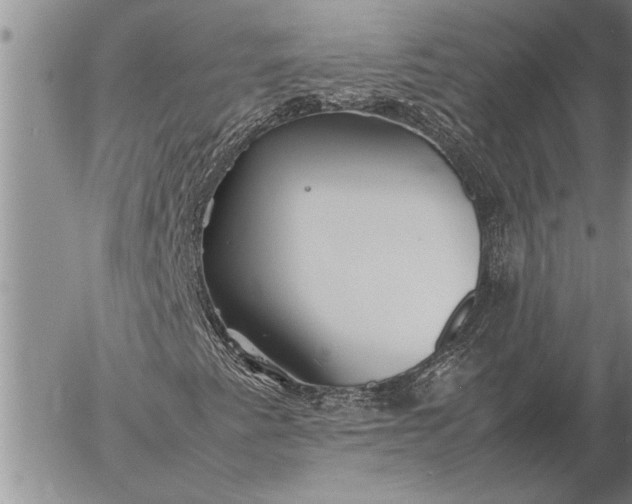 X0000057061345200509231521