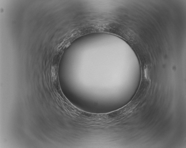 X0000057061347200509231521