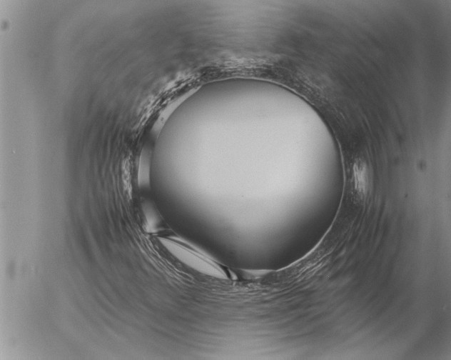 X0000057061348200509231521