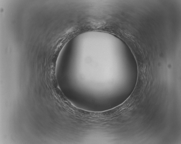 X0000057061349200509231521