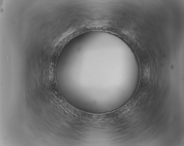 X0000057061350200509231521