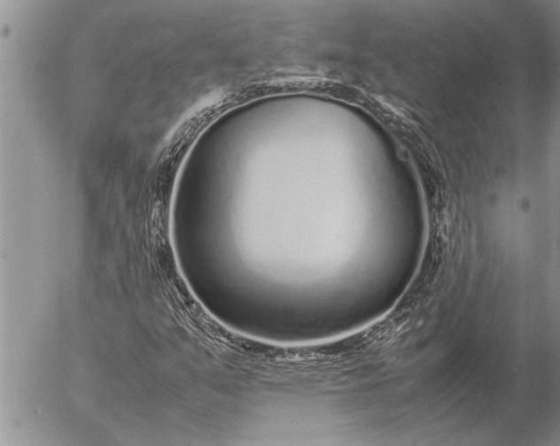 X0000057061351200509231521