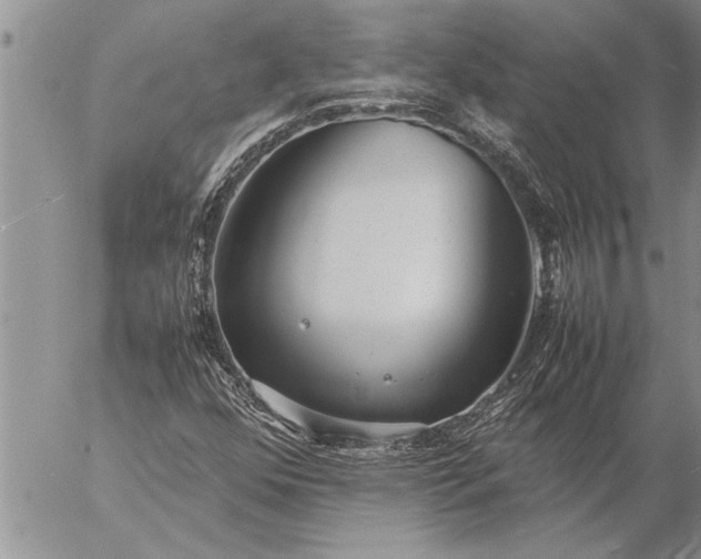 X0000057061352200509231521