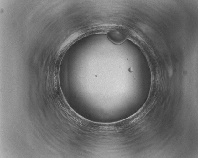 X0000057061354200509231521