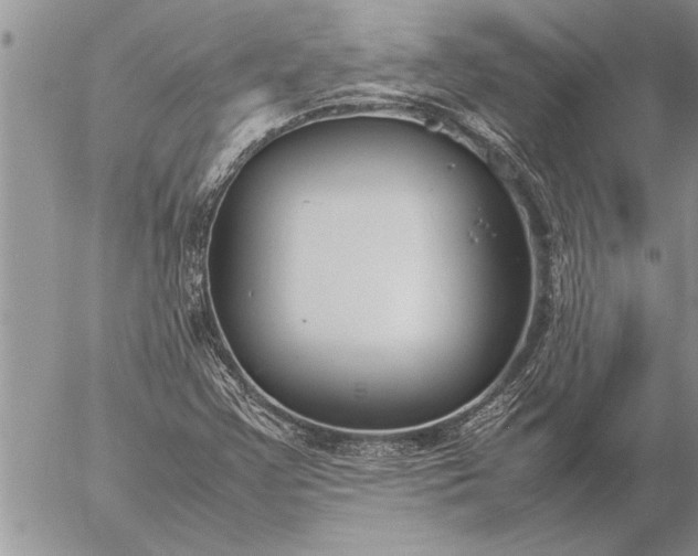 X0000057061355200509231521