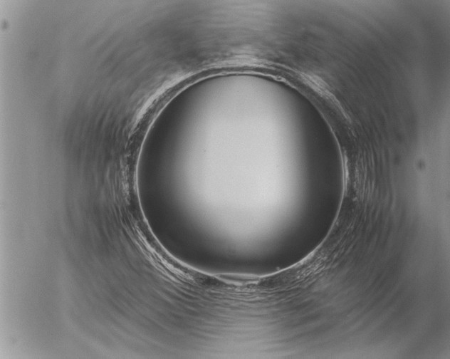 X0000057061356200509231521