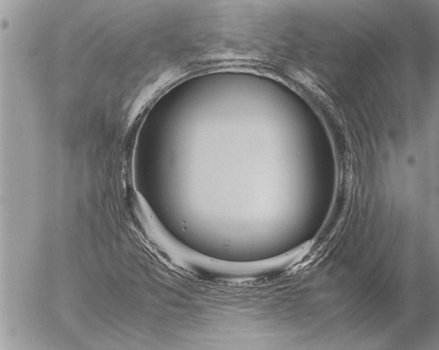 X0000057061357200509231521